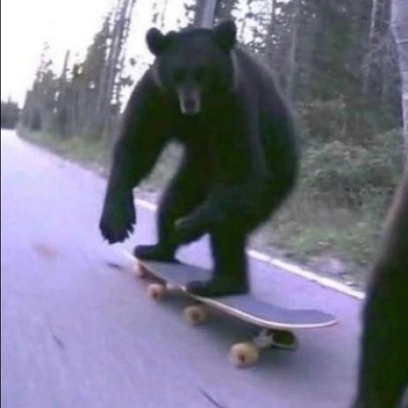 Best Friend True Love - Picture 3 of 13